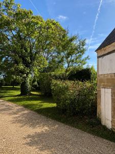 a road next to a building and a tree at Château Alto Cormeil in Saint-Émilion