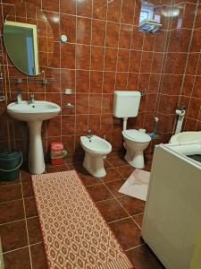 a bathroom with two toilets and a sink and a mirror at Pensiunea Rose in Păuleni-Ciuc +79 photos