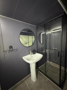 a bathroom with a sink and a shower and a mirror at Mtirala Yurt in Batumi