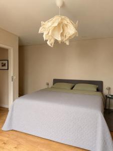a bedroom with a large bed and a chandelier at 70 qm Wohnung in Neuwied
