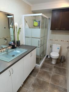 a bathroom with a toilet and a glass shower at Aroca in Elda