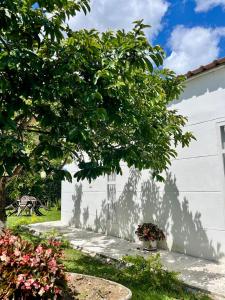 a white building with a tree in front of it at Casa El Limonar Garzón Hospedaje Campestre in Garzón