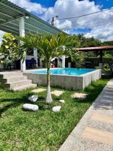 a palm tree in the grass next to a swimming pool at Casa El Limonar Garzón Hospedaje Campestre in Garzón