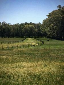 a field with a fence and some animals in it at Petion Polo Ranch in Cañuelas