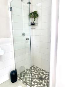 a shower with a glass door with a potted plant at Living Lite 1 and 2 in Kleinmond +14 photos