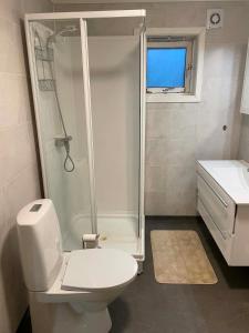 a bathroom with a shower and a toilet and a sink at Modern basement apartment, 65 square meters in Alta