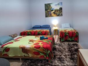 Foto de Microcasa em Foz próximo a aduana argentina