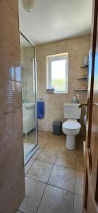 a bathroom with a toilet and a glass shower at Cosy Bungalow in Balbriggan +12 photos