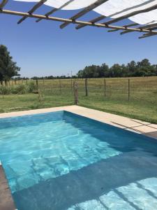 a blue swimming pool with a field in the background at Petion Polo Ranch in Cañuelas +172 photos