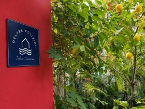 a sign on a wall next to a tree with oranges at Deluxe Coliving Islas Canarias in Las Palmas de Gran Canaria