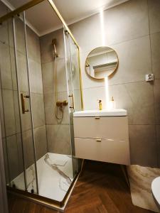 ein Badezimmer mit Dusche, Waschbecken und Spiegel in der Unterkunft Golden Studio in Płock