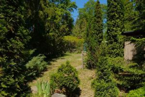 a path through a garden with trees and bushes at Árnyas Tölgy in Kismaros +3 photos