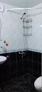 a bathroom with a shower and a toilet and a sink at kvartira in Kutaisi