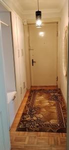 a hallway with a door and a rug on the floor at kvartira in Kutaisi