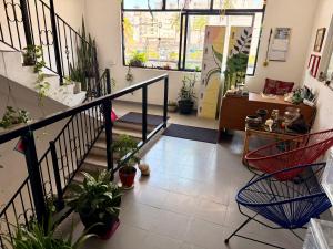a hallway with a bunch of potted plants at Vive Alegria Hostel in Puerto Vallarta