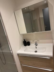 a bathroom with a sink and a mirror at Le flocmagny in Chalons en Champagne +38 photos