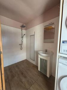 a small bathroom with a sink and a shower at Neubeginn 2 - Zimmer A in Hildburghausen +8 photos