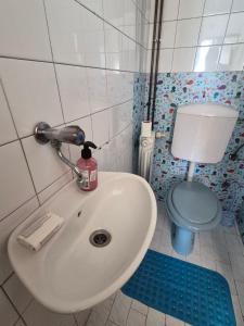 a bathroom with a sink and a blue toilet at Rooms-Zejnep SARAJEVO in Sarajevo +8 photos