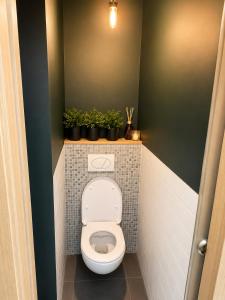 a bathroom with a toilet with potted plants on a shelf at Like at home Brno - celý byt in Komárov