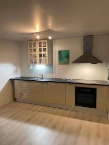 a kitchen with a sink and a stove top oven at Modern basement apartment, 65 square meters in Alta