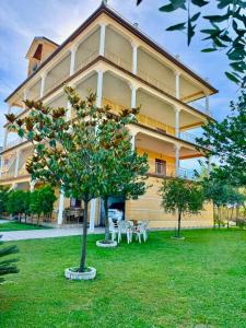 a large building with a tree in front of it at Colombo' s House in Shkodër +1 photo