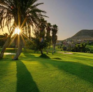 a group of palm trees on a golf course at Apartamento Residencial Colinas del Golf, Envía, Almería in La Envia