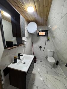 a bathroom with a sink and a toilet at Cozy Cottage JuFu in Mestia +79 photos
