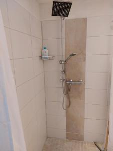 a shower with a shower head in a bathroom at Haus im Garten in Grebenau +11 photos