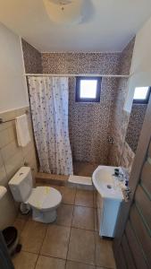 a bathroom with a toilet and a sink at Casa Loredana in Cârțișoara +3 photos