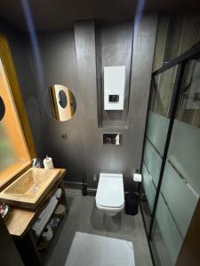 a small bathroom with a toilet and a sink at Saffire Doğa Evleri in Güneyköy