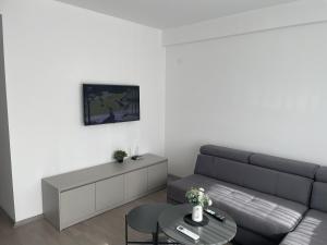a living room with a couch and a table at BD Luxury Apartment in Bitola