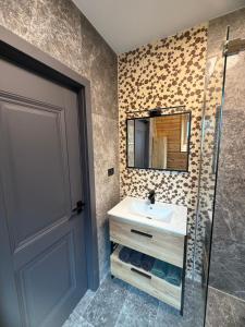 a bathroom with a sink and a shower at Cabana Mircea cel Bătrân in Arefu