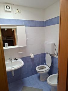 a blue and white bathroom with a toilet and a sink at Nido Silmano in Marilleva +22 photos