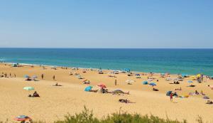 a group of people on a beach with umbrellas at Proche de la plage, très bien situé in Ondres
