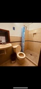 a bathroom with a toilet and a sink and a shower at Hotel Ripoll Córdoba in Córdoba