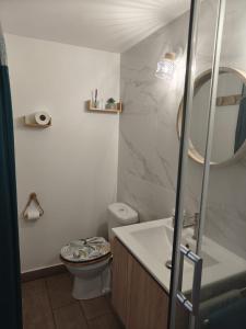 a bathroom with a sink and a toilet and a mirror at Ti Colibri in Deshaies