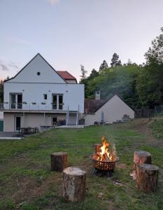 a fire pit in a yard in front of a house at Apartmány v Propadání in Jedovnice