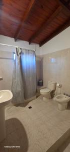 a bathroom with a toilet and a sink and a shower at Alojamiento Dina in Puerto Madryn