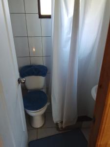 a bathroom with a toilet with a blue seat at Rio liucura cabañas in Collentañe +9 photos