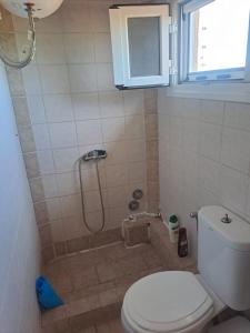 a bathroom with a toilet and a shower at Retire Alefkimmon in Lefkimmi