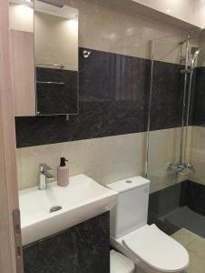 ein Badezimmer mit Toilette, Waschbecken und Dusche in der Unterkunft Amygdalos Room in Kómi + 27 Fotos