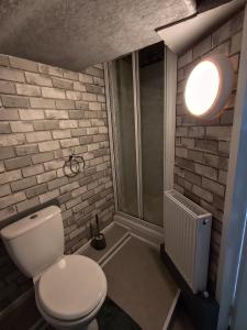 a bathroom with a toilet and a walk in shower at Merginn Guest House in Blackpool
