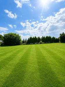 a large grass field with the sun in the sky at No 7 Plasmolen in Middelaar