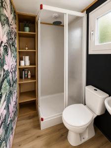 a bathroom with a white toilet and a shower at No 7 Plasmolen in Middelaar