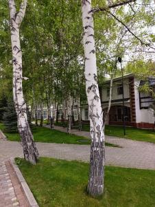 two trees in the grass in front of a building at Радуга in Chon-Sary-Oy +1 photo