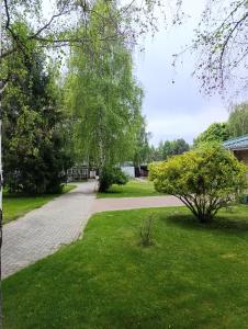 a walkway in a park with trees and grass at Радуга in Chon-Sary-Oy