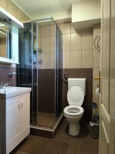 a bathroom with a toilet and a glass shower at Apartmani Slavko in Konjska Reka +27 photos