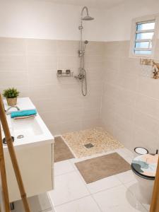 a bathroom with a shower and a toilet at Kaz an Fanmi in Les Abymes