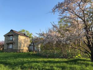 an old house in a field with trees at Guesthouse Yoichi in Yoichi