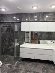 a bathroom with a shower and a sink and a mirror at Rania Penthouse 1 in Şelimbăr